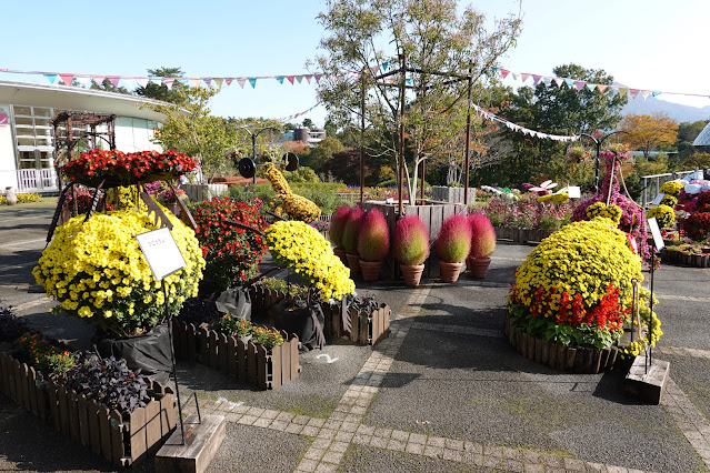 鳥取県西伯郡南部町鶴田　とっとり花回廊　エントランス展示