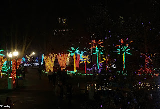 St. Louis Zoo Lights photo by mbgphoto