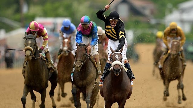 Pimlico: #Oxbow da un capo all'altro nelle Preakness Stakes. Solo un quarto per #Orb, continua la maledizione della triplice..