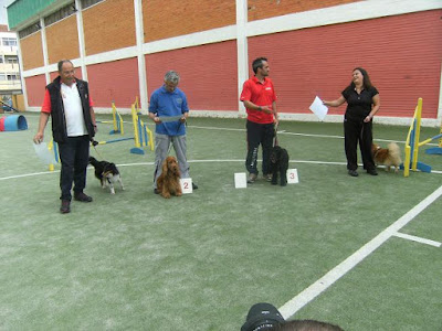 agility open montijo