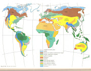 PZ C: mapa del mundo