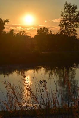 Light on pond