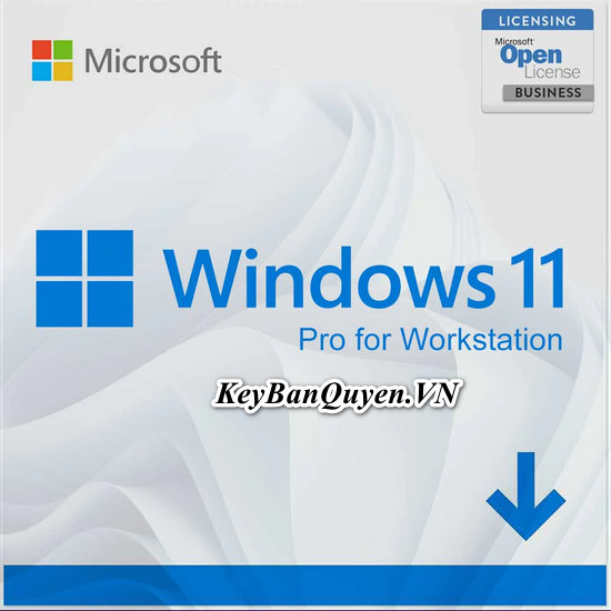 Mua Bán Key Bản Quyền Windows 10 và Windows 11 Professional for Workstations.