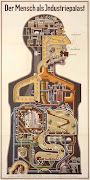 Fritz Kahn, Man as Industrial Palace, 1926. The poster, a cutaway schematic .