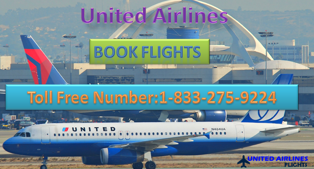 united-airlines-flights1