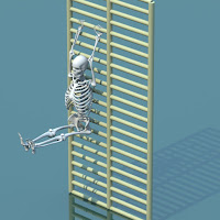 3d model human skeleton combine with biped