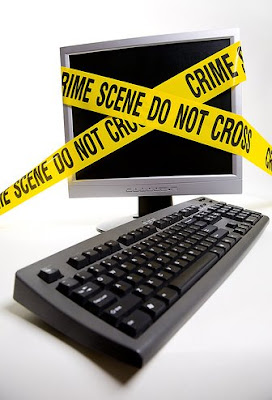 computer crime demeanor