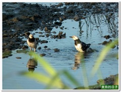 20110105_162232_107_HuaJiang