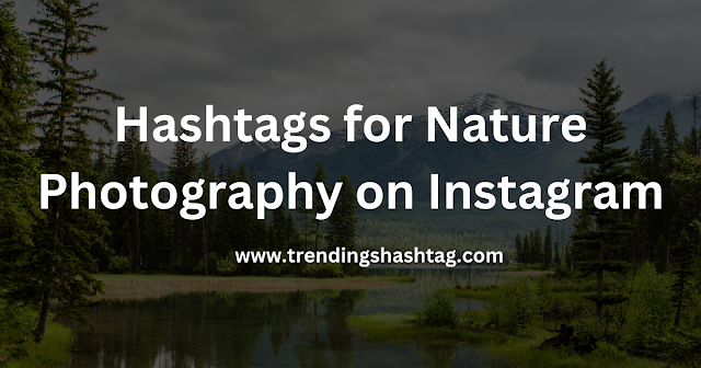 Hashtags for Nature Photography on Instagram