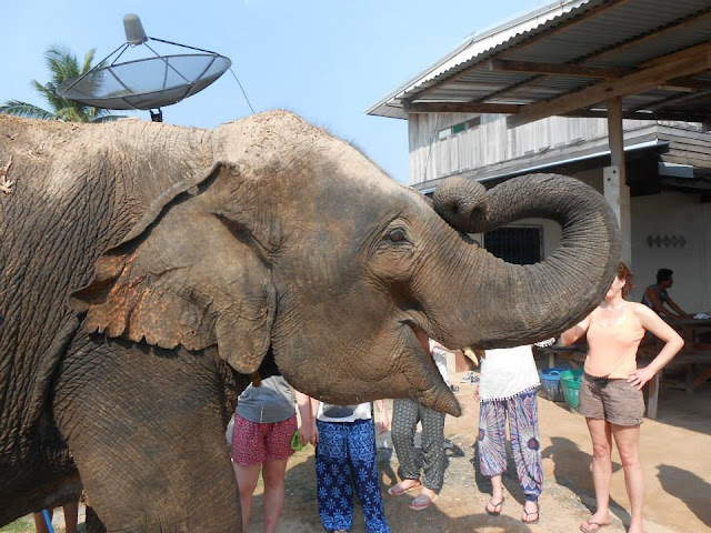 Elephant Village Surin