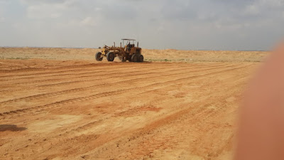 مهرجان الشرقية العاشر للهجن ينطلق الاثنين القادم 