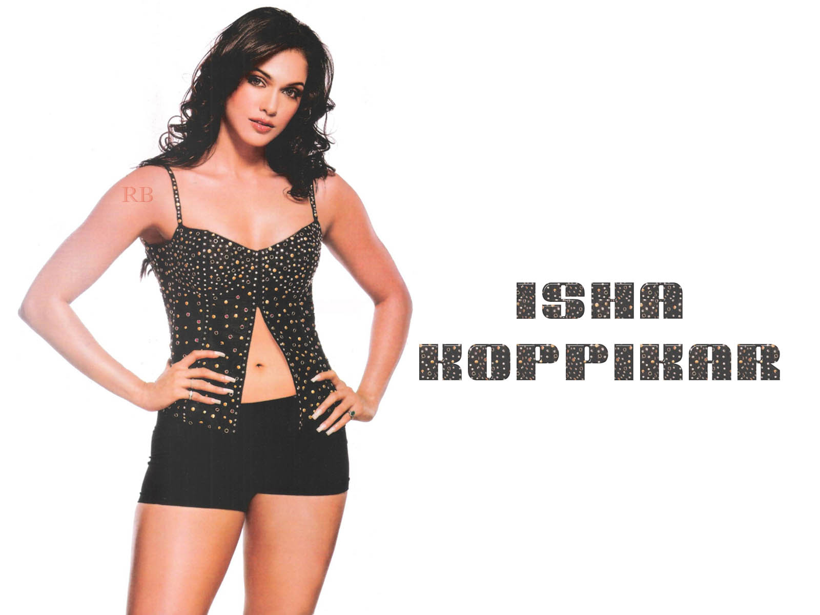 Isha Kopikar - Wallpaper Actress