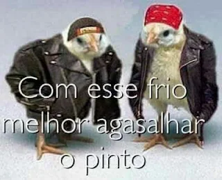 imagens-frio-engraçado.jpg