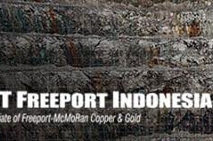 Renegosiasi Kontrak Karya Freeport Indonesia Perlu Campur Tangan Pemkab dan Masyarakat Adat Mimika