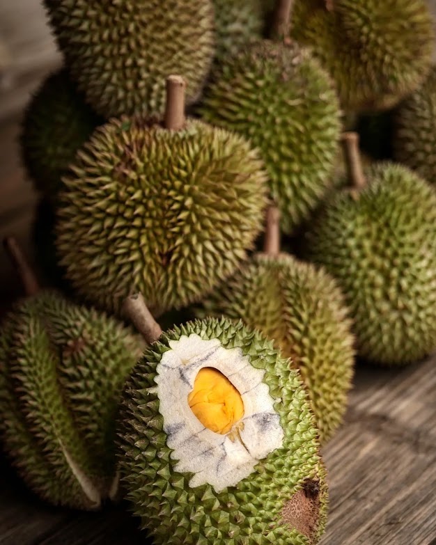 bibit durian tembaga super bangka okulasi cepat buah kontraktor pembibitan Karawang Timur