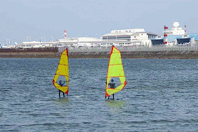yellow sailed, windsufers, GIF