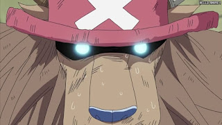 ワンピース アニメ エニエスロビー編 296話 チョッパー Tony Tony Chopper | ONE PIECE Episode 296 Enies Lobby