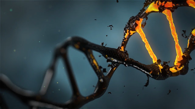 DNA Modifications in Humans. What is genetic modification? Human germline engineering