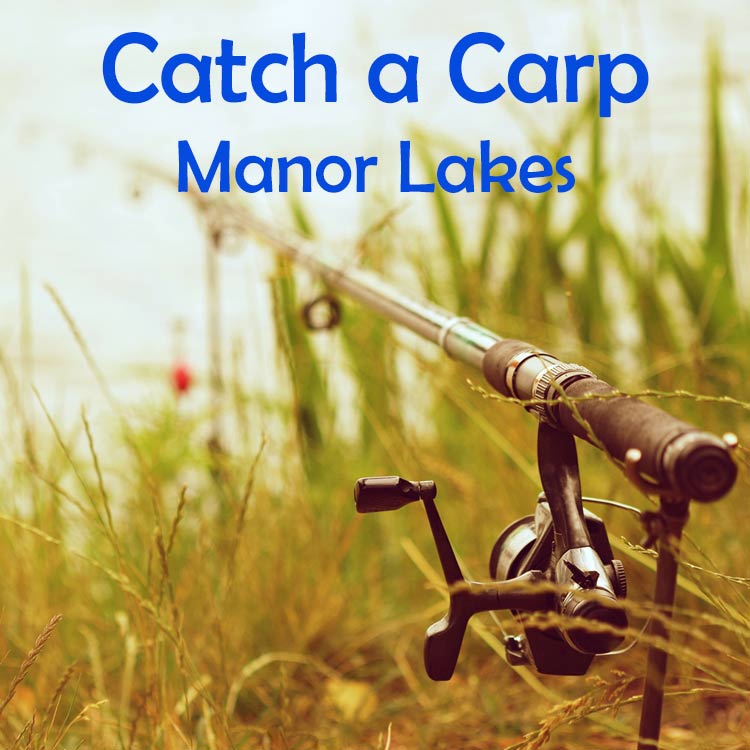 Catch a Carp (Manor Lakes)