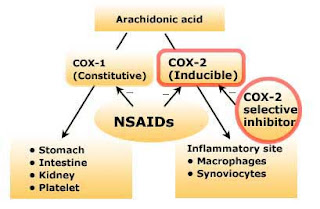 INFLAMACION COX-2