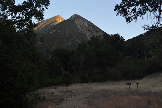 sunlight on the nearby peak above metal trail sign and register