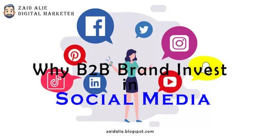 invest and using b2b social media accounts by zaid alie