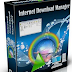 Internet Download Manager (IDM) 6.19 build 3, Crack & Patch