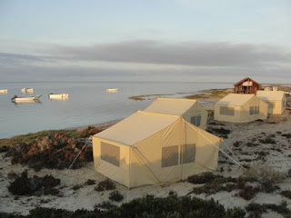 Whale Watching Camp