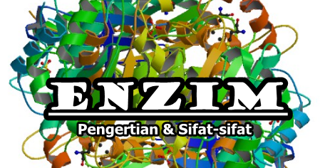 Pengertian dan Komponen Enzim