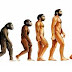 نظرية التطور 