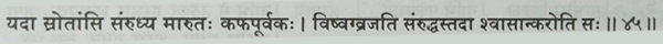 vata, respiratory diseases, ancient reference, shloka