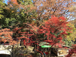 永源寺　紅葉