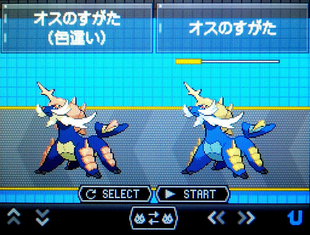 Iro Blog 12
