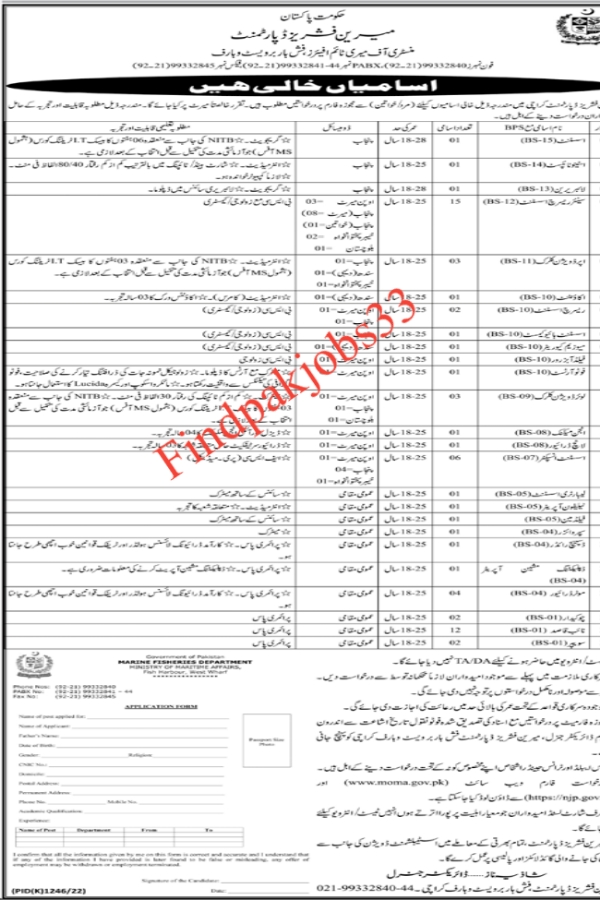 Marine Fisheries Department Government of Pakistan Jobs 2022 Download Application Form