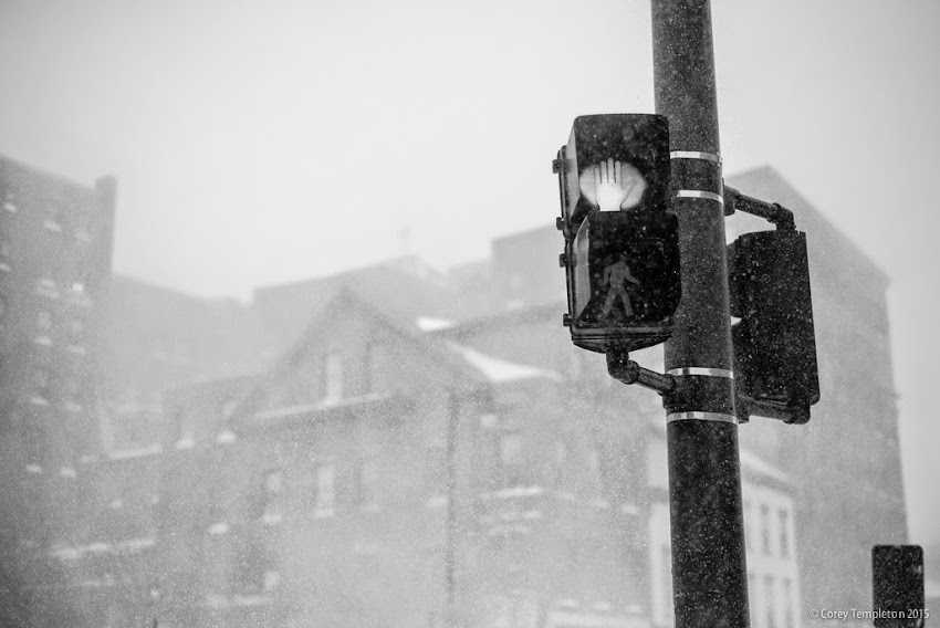 Walk sign Portland, Maine black and white winter photo from January 2015 photo by Corey Templeton