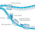 Pengertian Transkripsi DNA