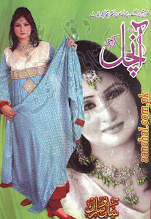 Aanchal digest january 2013