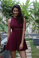 30 Best Pics of Disha Patani Tiger Shroff Girlfriend  Exclusive Galleries 014.jpg