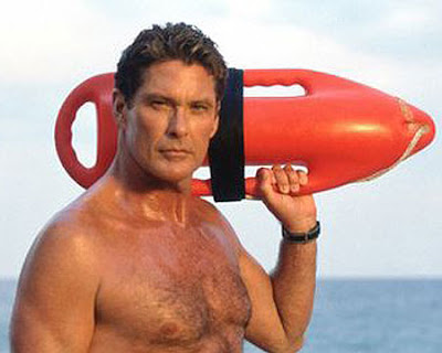 David Hasselhoff , American actor, singer, producer