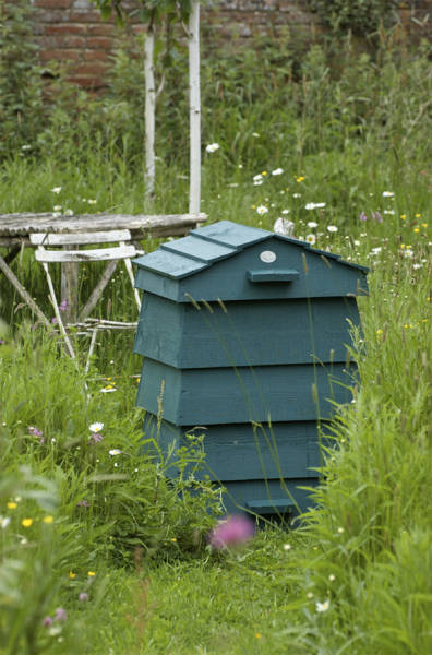 Tilly's Nest: Stackable Beehive Composter