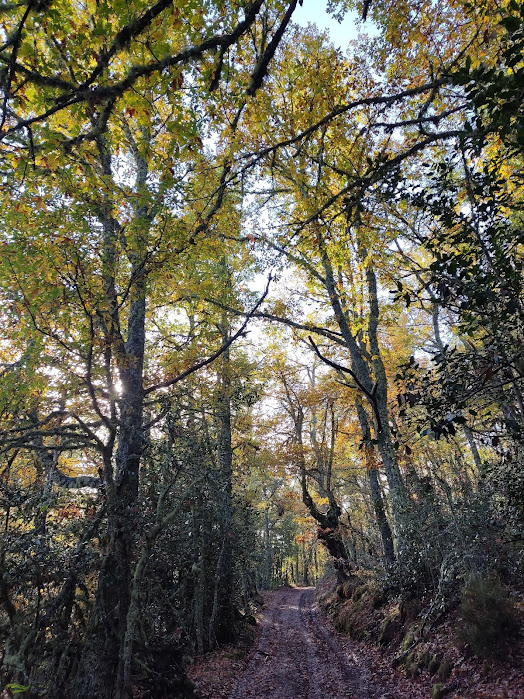 Subida al Cueto Nidio (Valle de Laciana)