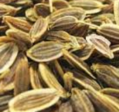 Dill Seeds meaning in English, hindi, telugu,tamil,marathi,Gujrathi,Malayalam,Kannada