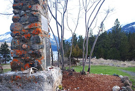 gravesite of elder chief joseph with wallowa mountains in background