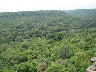 Forest around Hinglaj Fort in Mandsaur district in Madhya Pradesh, India