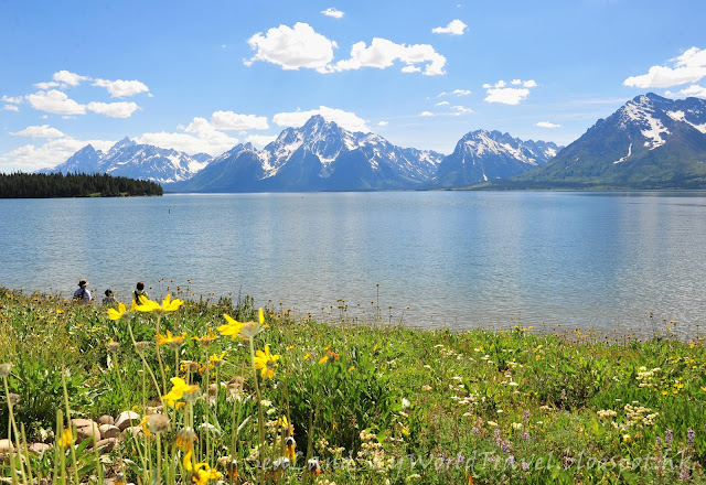 Grand Teton National Park, 大提頓國家公園