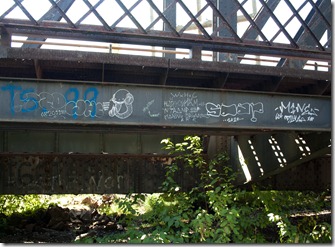 train bridge6 (1 of 1)