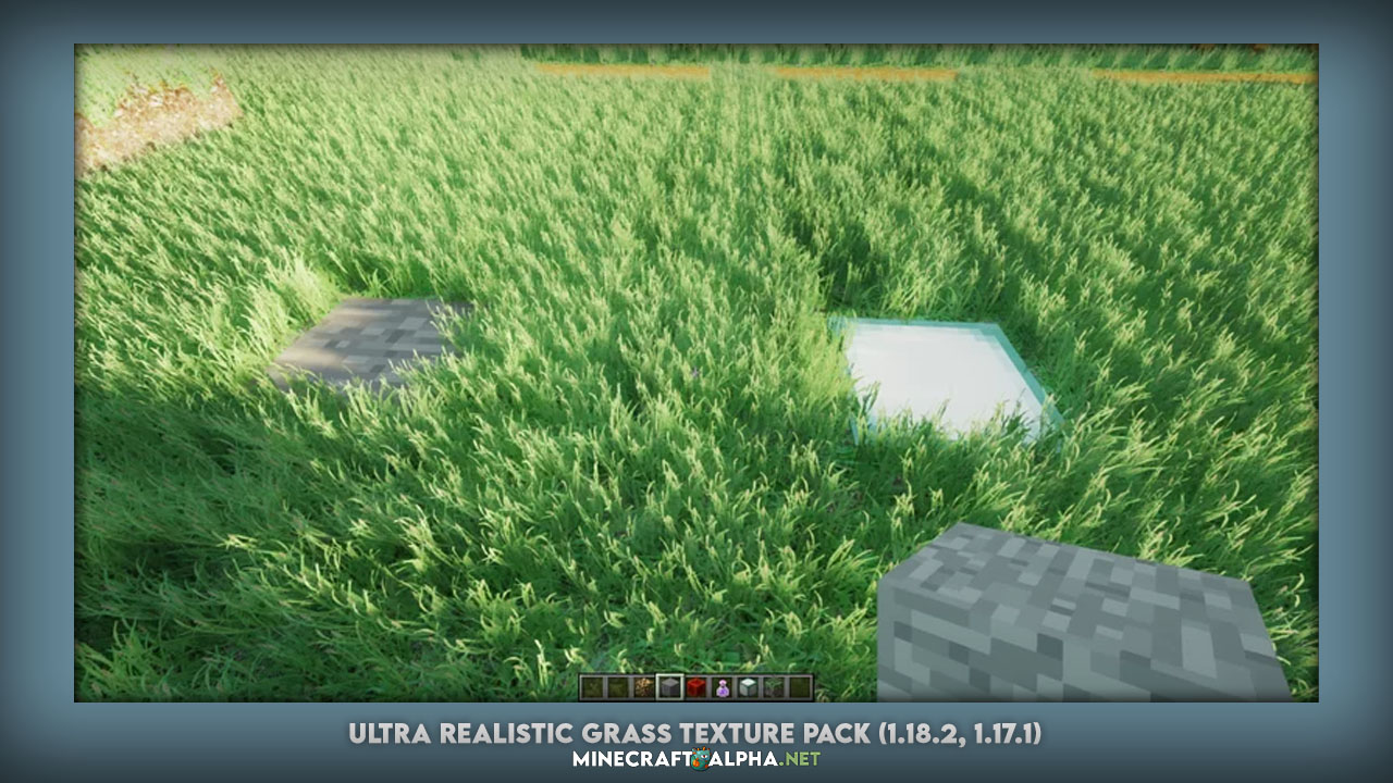Ultra Realistic Grass Texture Pack (1.18.2, 1.17.1)