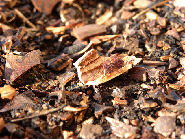 Red Mulch