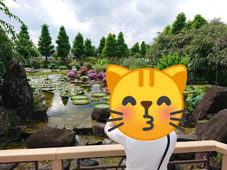 みずの森 蓮 撮影