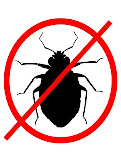 How do I get rid of bed bugs?